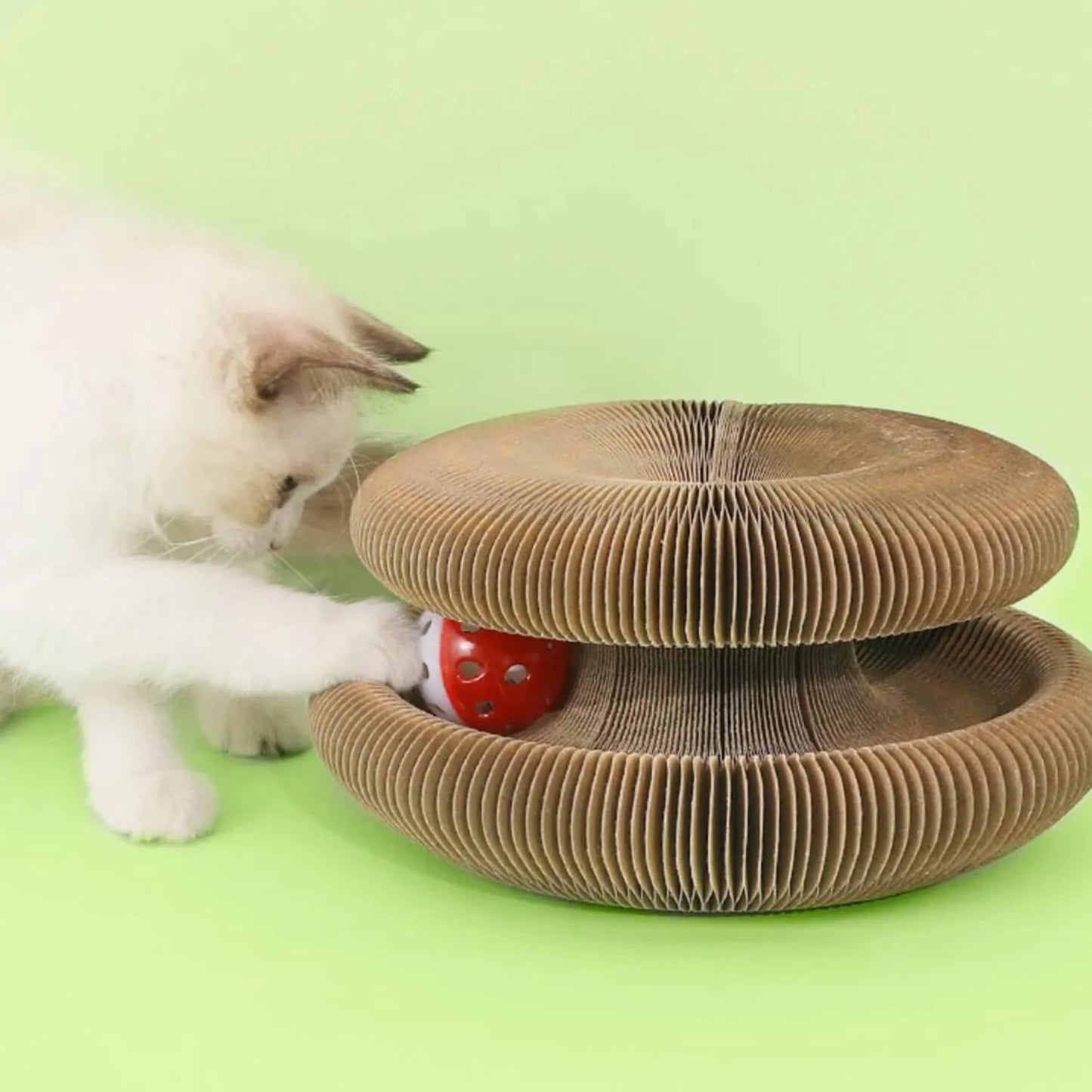 Magnetic Foldable Cat Scratching Board Toy